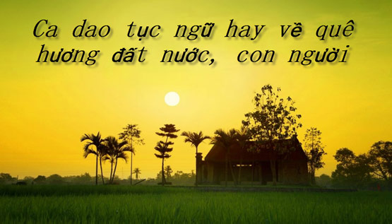 Ca dao tục ngữ là kho tàng văn hóa đặc trưng của dân tộc Việt Nam. Đó là những câu châm ngôn, dân ca hát về đạo đức, tình cảm, sống động như cuộc sống đời thường. Hãy xem hình ảnh liên quan để thấy sự đa dạng và sâu sắc của ca dao tục ngữ.