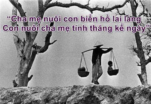 Cha mẹ nuôi con biển hồ lai láng, con nuôi cha mẹ tính tháng kể ngày
