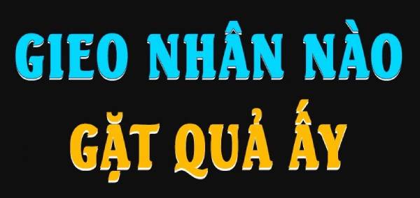 Gieo nhân nào gặt quả ấy