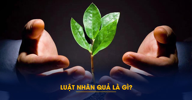 Luật nhân quả là gì?