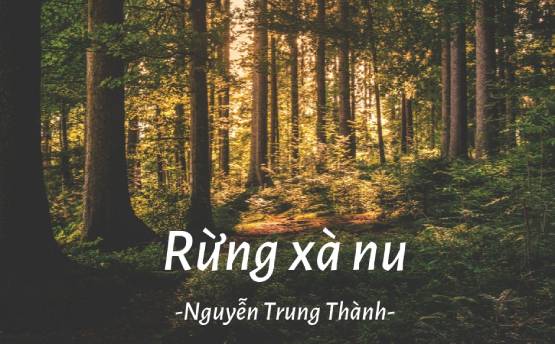 Những chi tiết nghệ thuật đặc sắc trong tác phẩm Rừng Xà Nu
