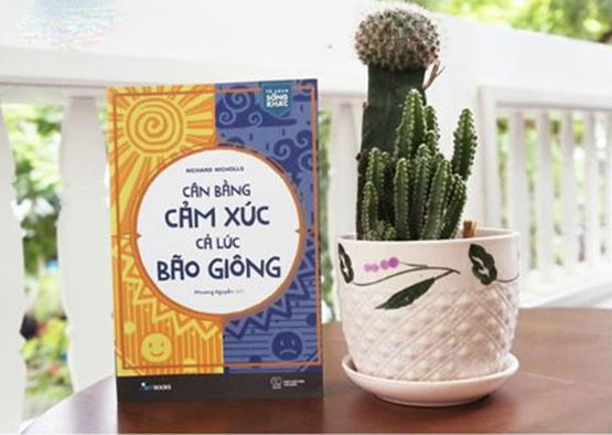 Review sách Cân bằng cảm xúc cả lúc bão giông