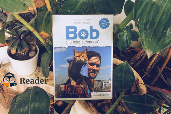 Bob – chú mèo đường phố