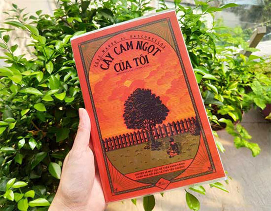 Review sách “Cây cam ngọt của tôi”