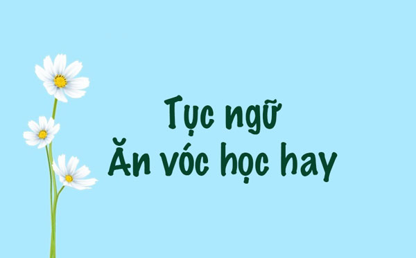 Giải thích câu tục ngữ Ăn vóc học hay