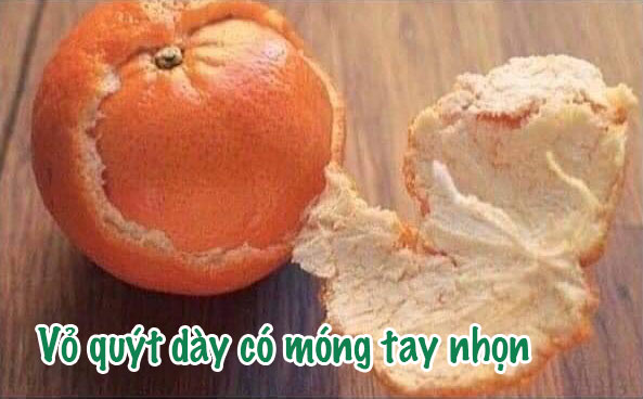 Vỏ quýt dày có móng tay nhọn