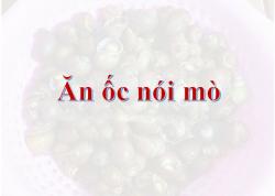 Ăn ốc nói mò