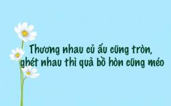 Thương nhau củ ấu cũng tròn, ghét nhau thì quả bồ hòn cũng méo