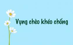 Vụng chèo khéo chống