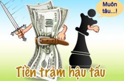 Tiền trảm hậu tấu